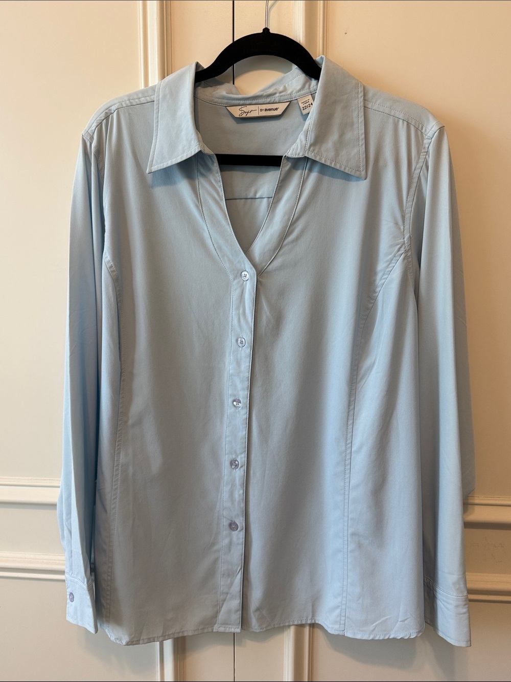 Avenue Light Blue Women's Button-Down Shirt